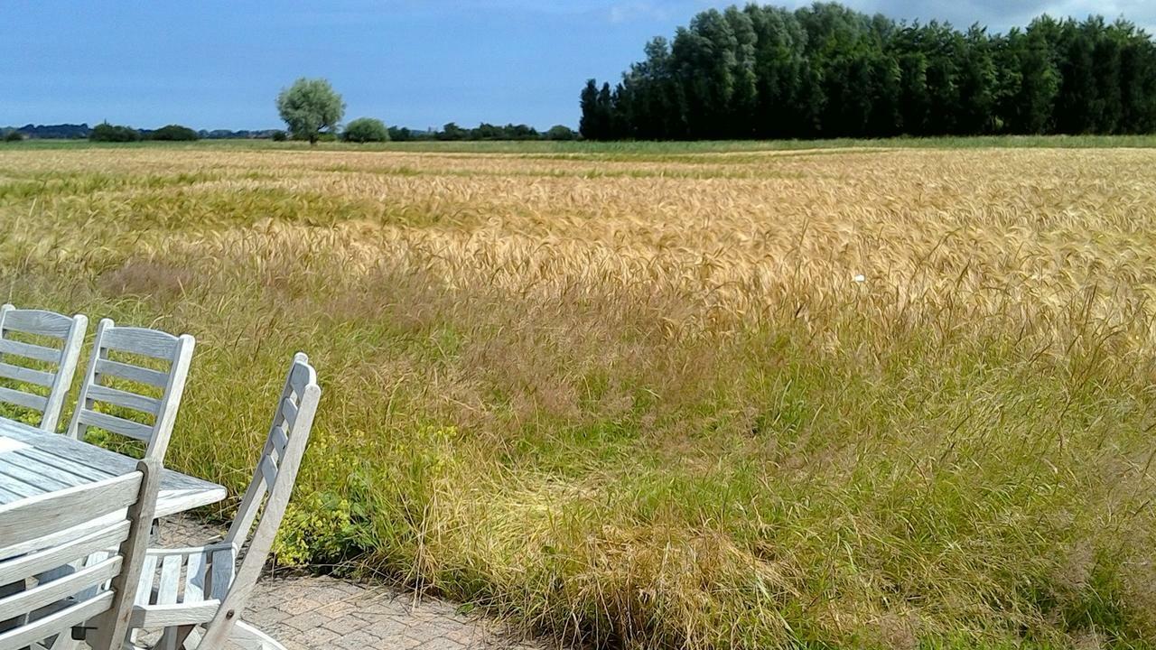 Ateljee Devlaux Bed and Breakfast Veurne Exteriör bild